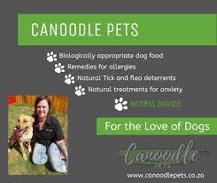 Choosing the Right Food for Canoodle Dog Breed Puppies